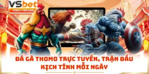Đá Gà Thomo Trực Tuyến, Trận Đấu Kịch Tính Mỗi Ngày